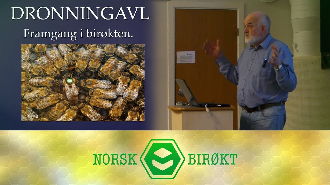 Foredrag om dronningavl - Del1
