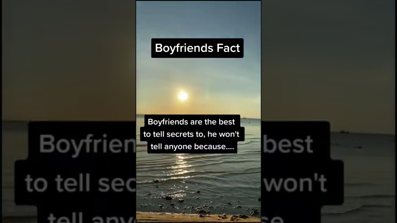 the boyfriends fact 
