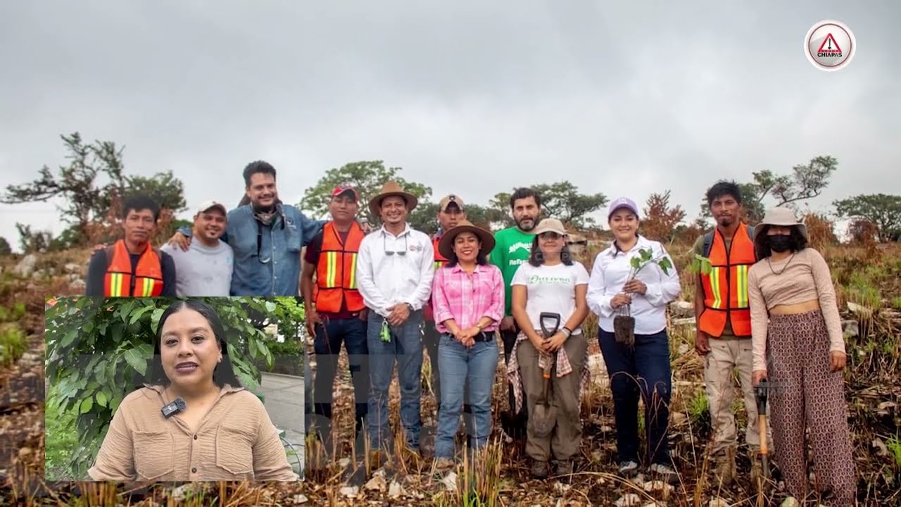 “Sembrar para el futuro”: Colectivas que reforestan con conciencia