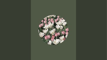 تصحيح تلاوة سورة الأعراف آية 26-27 صفحة 153 بالتجويد للمبتدئين