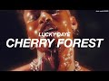 LUCKY DAYE CHERRY FOREST S L O W E D R E V E R B mp3