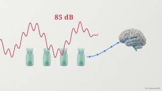The Comorbidity Cascade  How Your Ears Control Your Health