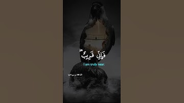 قرآن كريم راحة نفسية وسكينة #يارب #اكسبلور #المصحف #لايك