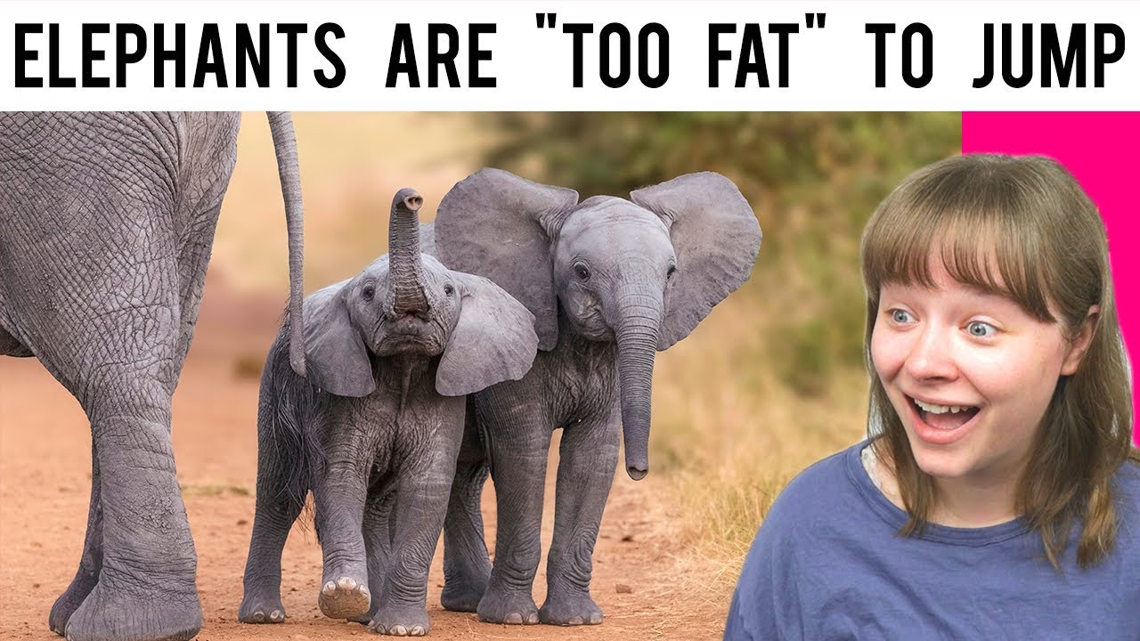 Random Facts That Make You Sound Smart 2 YouTube