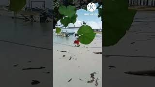 Kabupaten Dobo - Ujir Island - pulau pulau aru