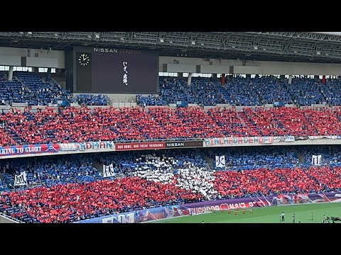 ヴァンフォーレ甲府 DVD サンフレッチェ広島 天皇杯 優勝記念 2022 ヴァンフォーレ甲府 DVD サンフレッチェ広島 天皇杯 優勝記念 2022