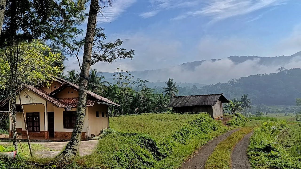 Damai sekali pagi ini 😍Di kampung terujung perbatasan asli bikin betah suasana begitu asri
