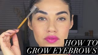 HOW TO GROW YOUR EYEBROWS! | EMAN