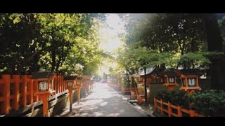 「今日を踊る」瀧川雄亮 「今日を踊る」瀧川雄亮