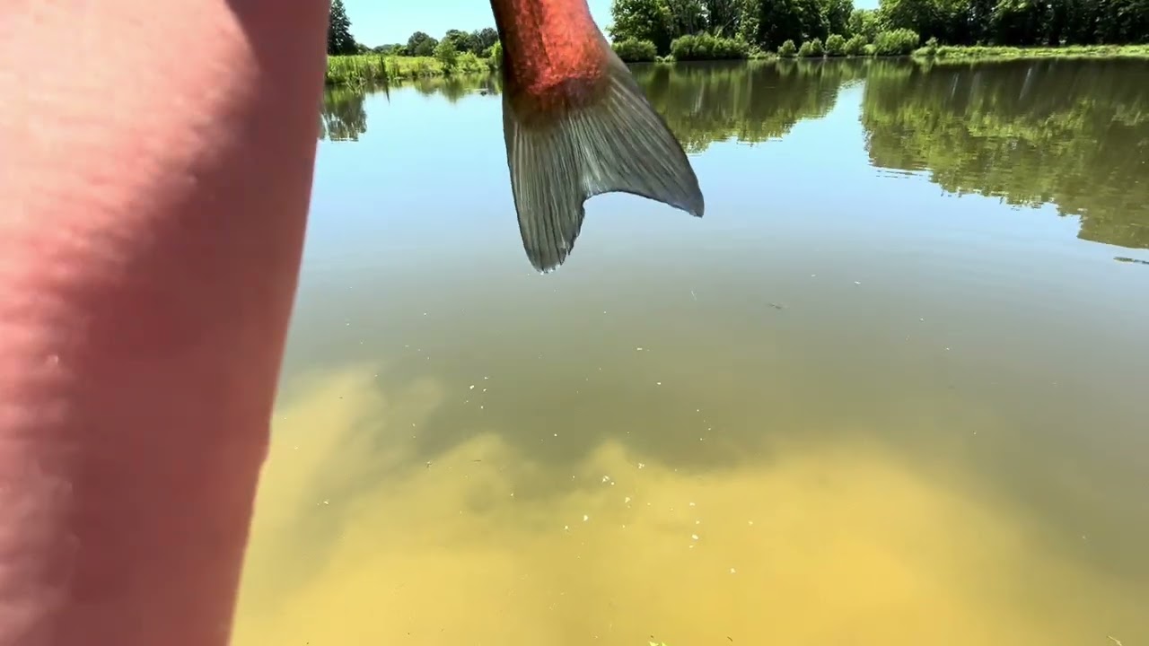 Bass fishing