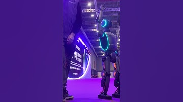 Dive into the future with WhalesBot at the Enjoy AI 2024 Global Final! 🌐