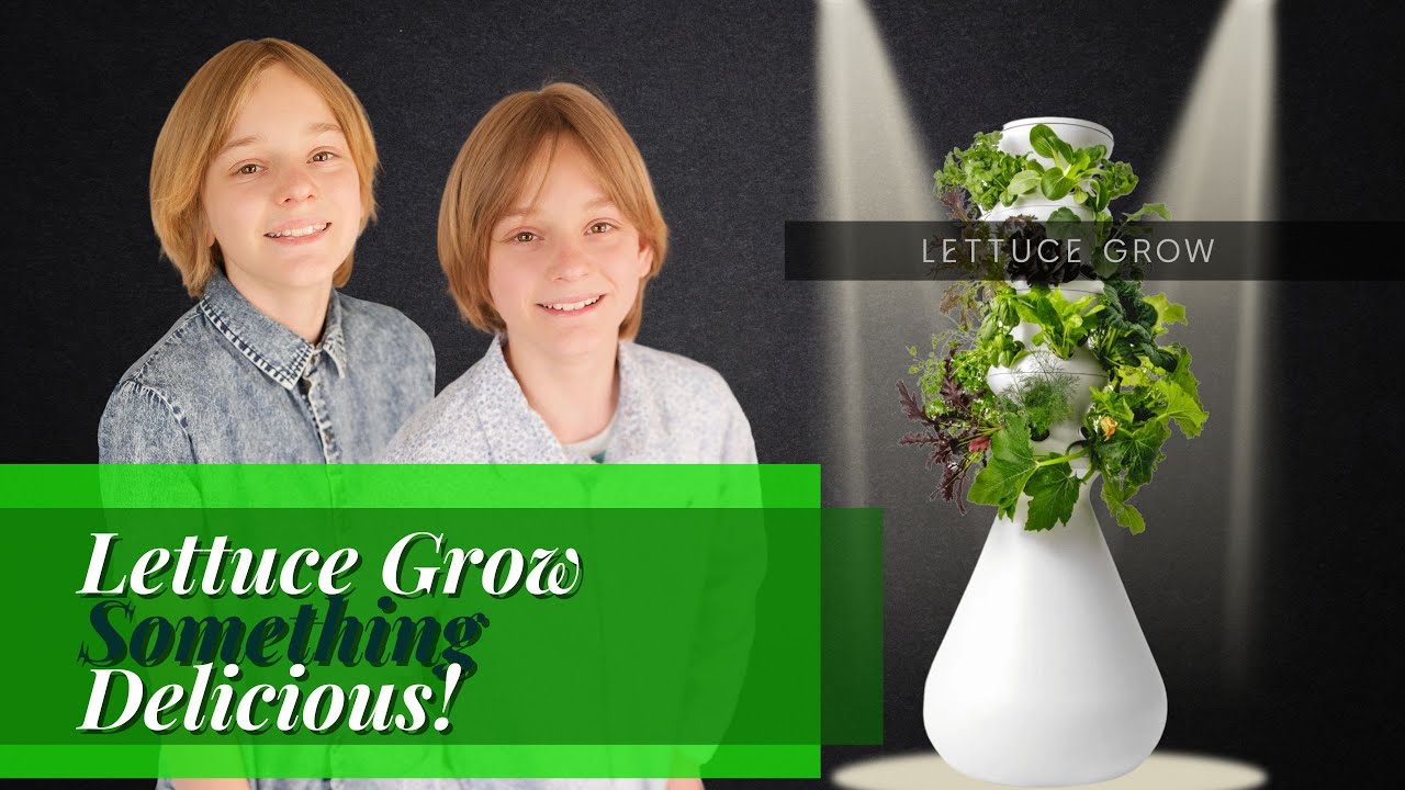Let us Grow with Lettuce Grow