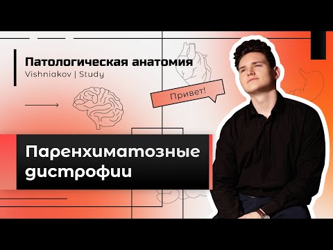 Патологическая анатомия | ПАРЕНХИМАТОЗНЫЕ ДИСТРОФИИ