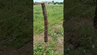 Cerca De Arame Farpado Muito Bem Feita