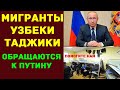 Мигранты узбеки таджики обращаются к Путину