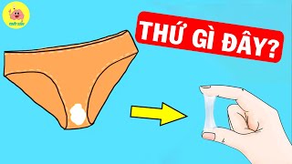 Tại Sao Trên Quần Nhỏ Con Gái Luôn Có Thứ Gì Đó Màu Trắng?