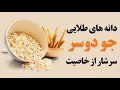 دانه های طلایی جو دوسر سرشار از خاصیت 