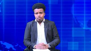 Warka Universal TV 21 08 2026
