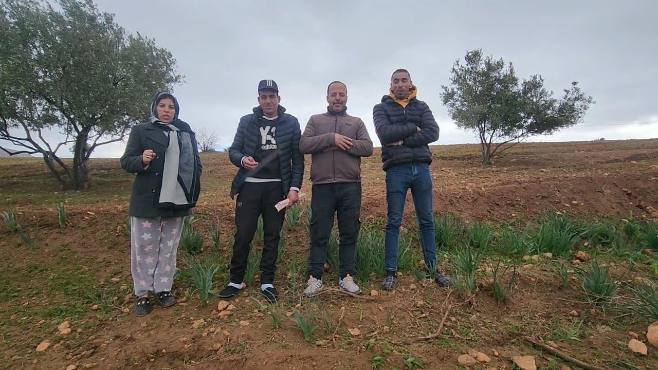 2026/01/28: أرض مساحتها هكتار و 6907متر  بها 100 زيتونة ملكية بثمن 10المليون ونصف الهاتف0666061770