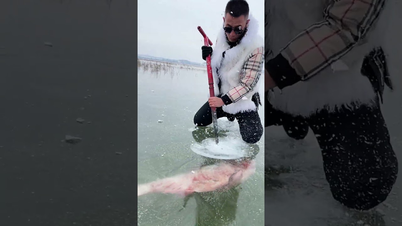Huge red fish in ice😰