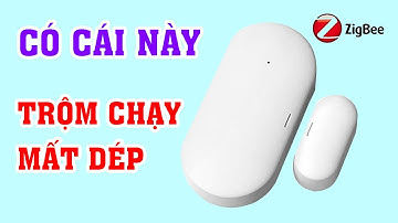 Cảm biến mở cửa Tuya sóng Zigbee rất cần thiết cho ngôi nhà bạn