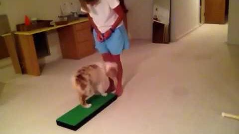 Punch Platform 6/7/2019