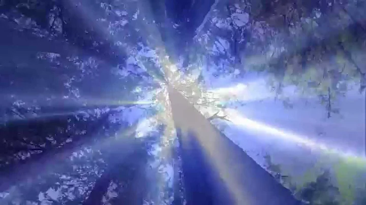 ANDREW KINSELLA - ASCENSION