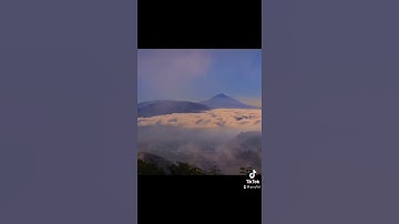 خالد الجليل - سورة العاديات
