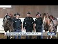 Meet Liberty and Phin, Wichita's newest police horses
