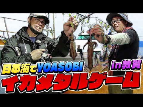 日本海でYOASOBIイカメタルゲームin敦賀【メジャークラフト】