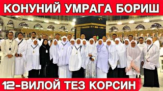 картинка: ХУШХАБАР РАСМАН УМРА ЗИЁРАТИ ТЕЗ КОРИНГ ЯНГИ УМРА НАРХЛАРИ КАТТА ЯНГЛИК ВА ЧЕГИРМА 