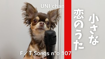 【替え歌】陰キャな犬が『小さな恋のうた』を歌ってみた【MONGOL800】/ THE FIRST TAKE