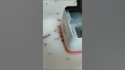 My new Fossil watch unboxing #shots