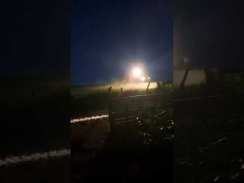 Vídeo gravado em 10.03.25 no acampamento Leonir Orback (GO)
