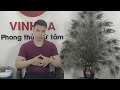 Tử Vi Tuổi Giáp Thìn 1964 Tháng 3 Âm Lịch - Chúc Mừng Tuổi này Cuối Tháng Tiền Về Đếm Tiền Mỏi Tay