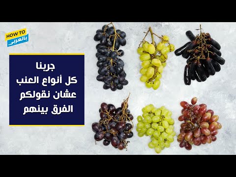 فيديو: أفضل أصناف العنب. أفضل 10 أنواع من العنب (صورة)