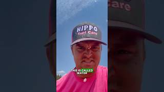 Help us help your lawn