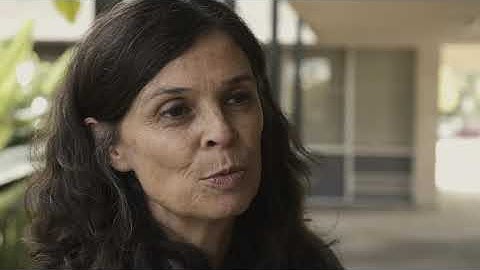 Bachelor of Environmental Design