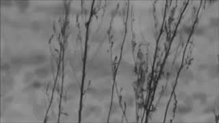 картинка: ДИМАКОК (Дмитрий Селиванов) - Разбитая Жизнь [1988]