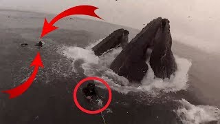 15 Cases Of The Most Dangerous Fishing Caught On Camera 15 Cases Of The Most Dangerous Fishing Caught On Camera