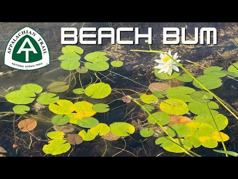 LIFE’S A BEACH Appalachian Trail Thru Hike Maine Day 163 Logan Brook Lean-To to Jo Mary Road