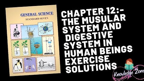 Class 7th science chapter 12-the muscular system and digestive system in human exercise solutions