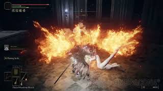 Elden Ring Mimic Handler Mimics Nokstella Er 1080P Pc