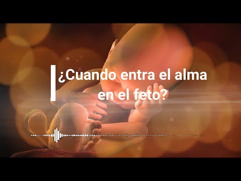 Video: Cuando Un Feto Tiene Alma