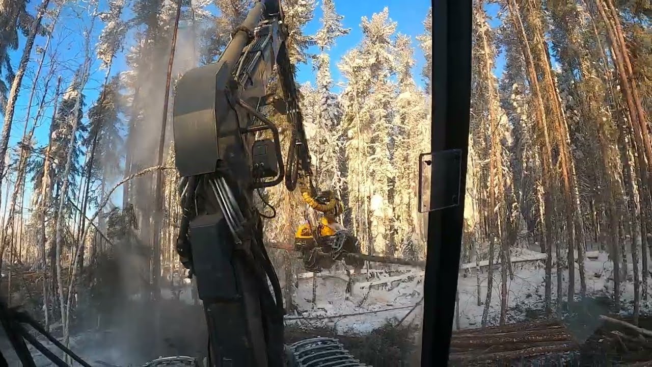 Ponsse Fox Ontario Canada aukolla