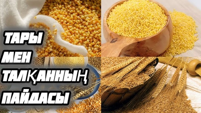 Ескі орыс шлюхалары Қыздардың іші сыртындағы письки видеосы