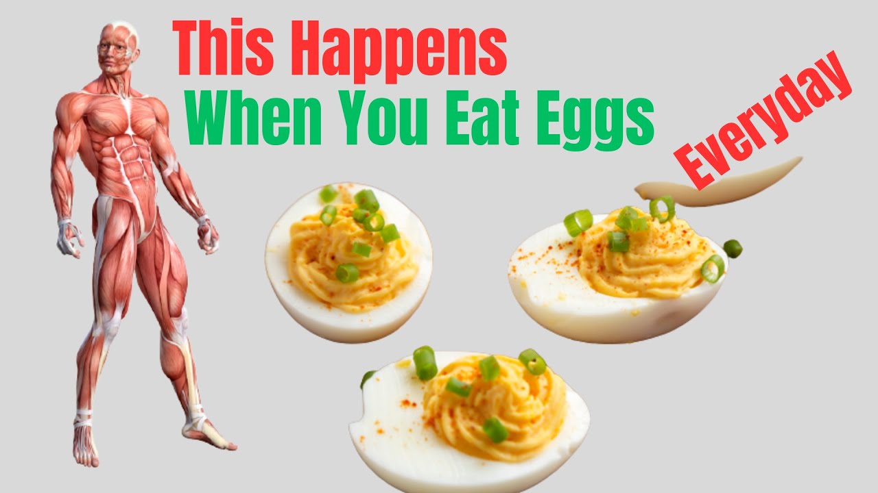 8 Reasons Why You Should Eat Eggs Everyday Eggs Benefits YouTube