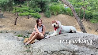 Living in Korea | furniture shopping, apt update, getting my library card, some changes