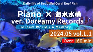 24.05 .L.1 海水水槽の傍ら 癒しのひととき■A Memory/Piano 1時間耐久鑑賞【Dreamy Records】