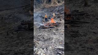 Download Lagu Mamanduk, kearifan lokal masyarakat dayak meratus MP3